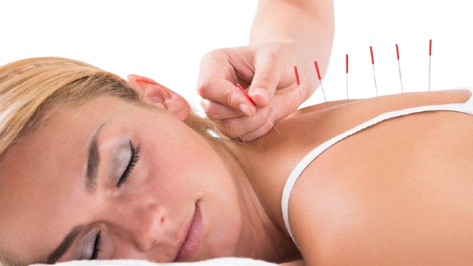 _105689698_2d1c1146-bfc3-449a-b7bb-f11267cb8770-removebg-preview