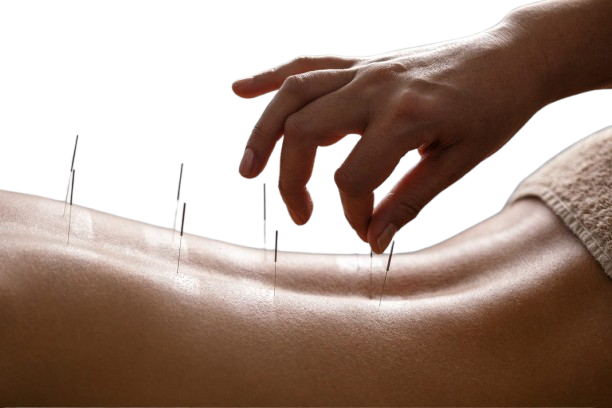 iStock-1356338837-removebg-preview