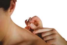 images__5_-removebg-preview